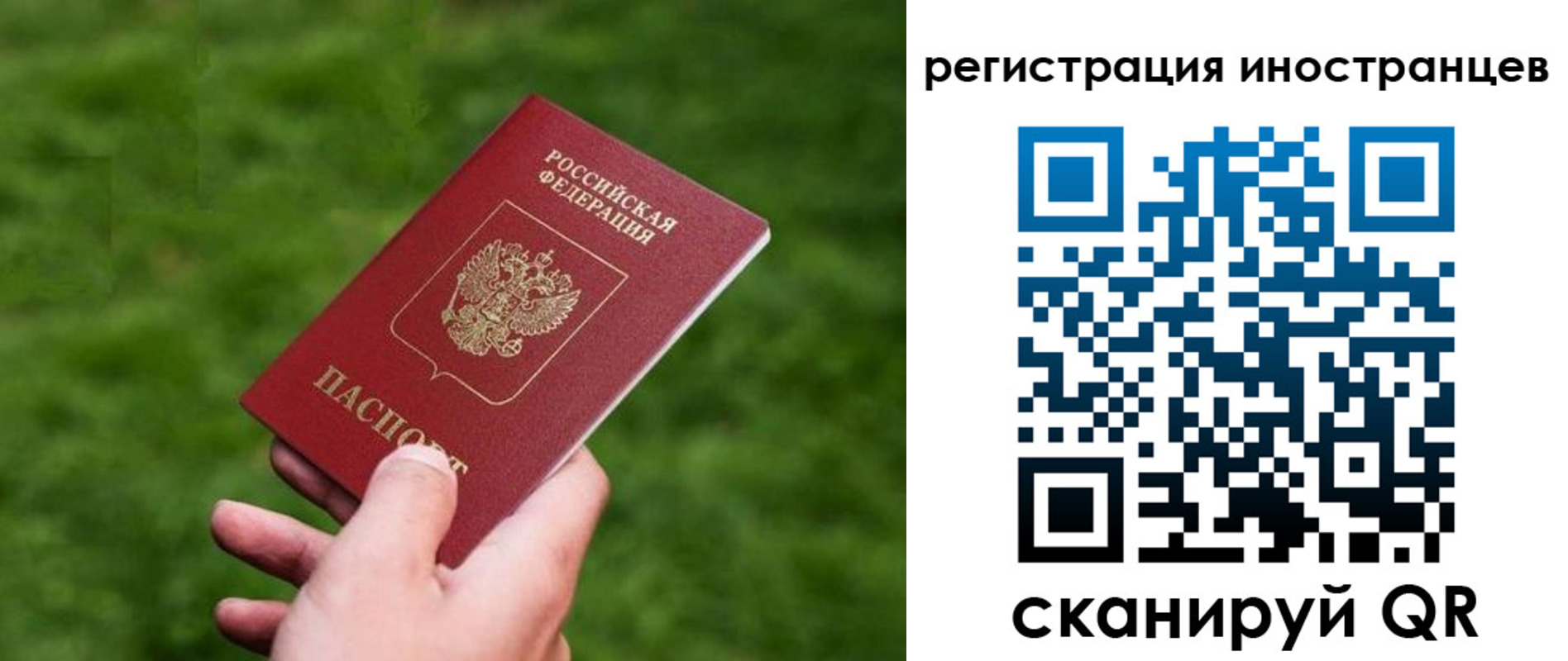 прописка ребенка в Коломне